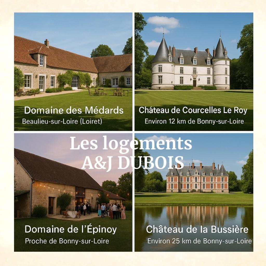 Appartement A&jduplex - Sur Loire - Chateaux De Guedelon - Pont Canal Bonny-sur-Loire